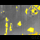Illustration for article titled Seek Thermal Review: Cheaper Predator Vision For Your Smartphone
